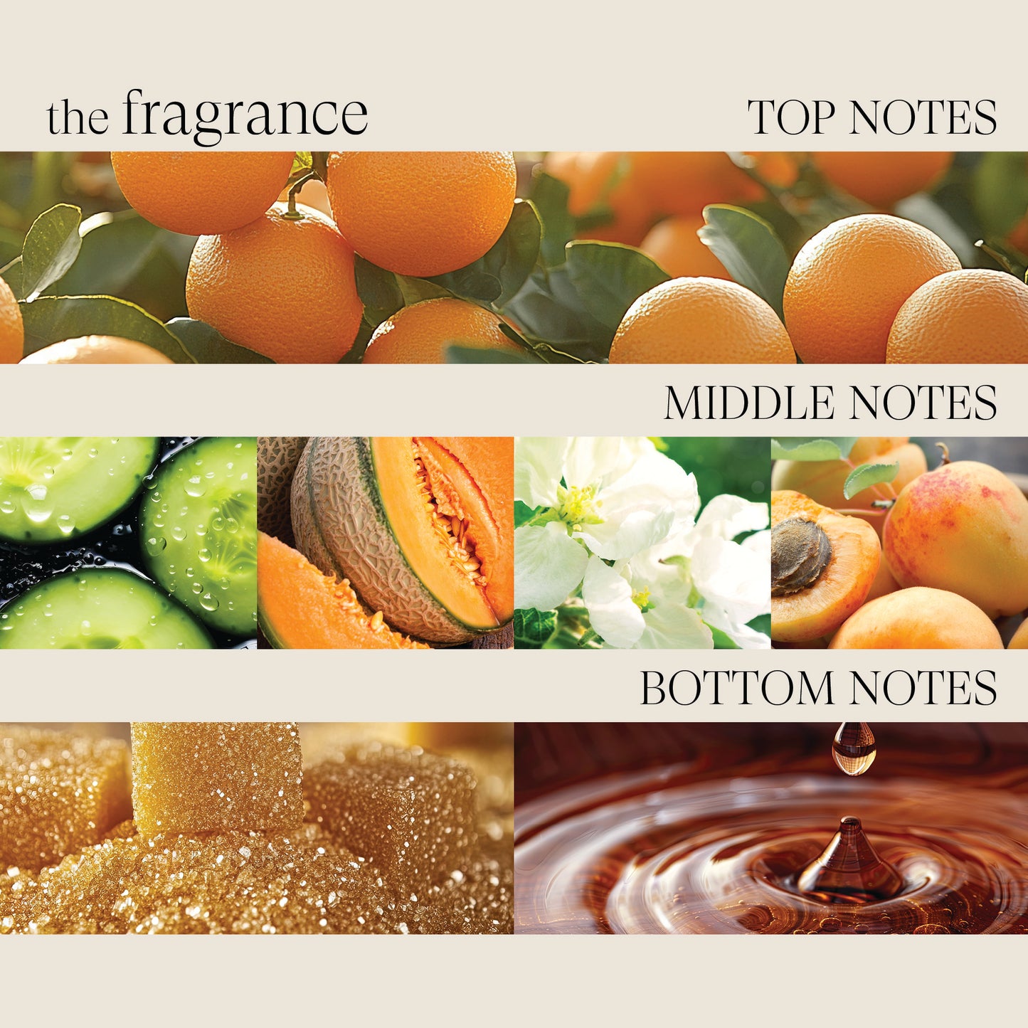 Manuka Honey Conditioner