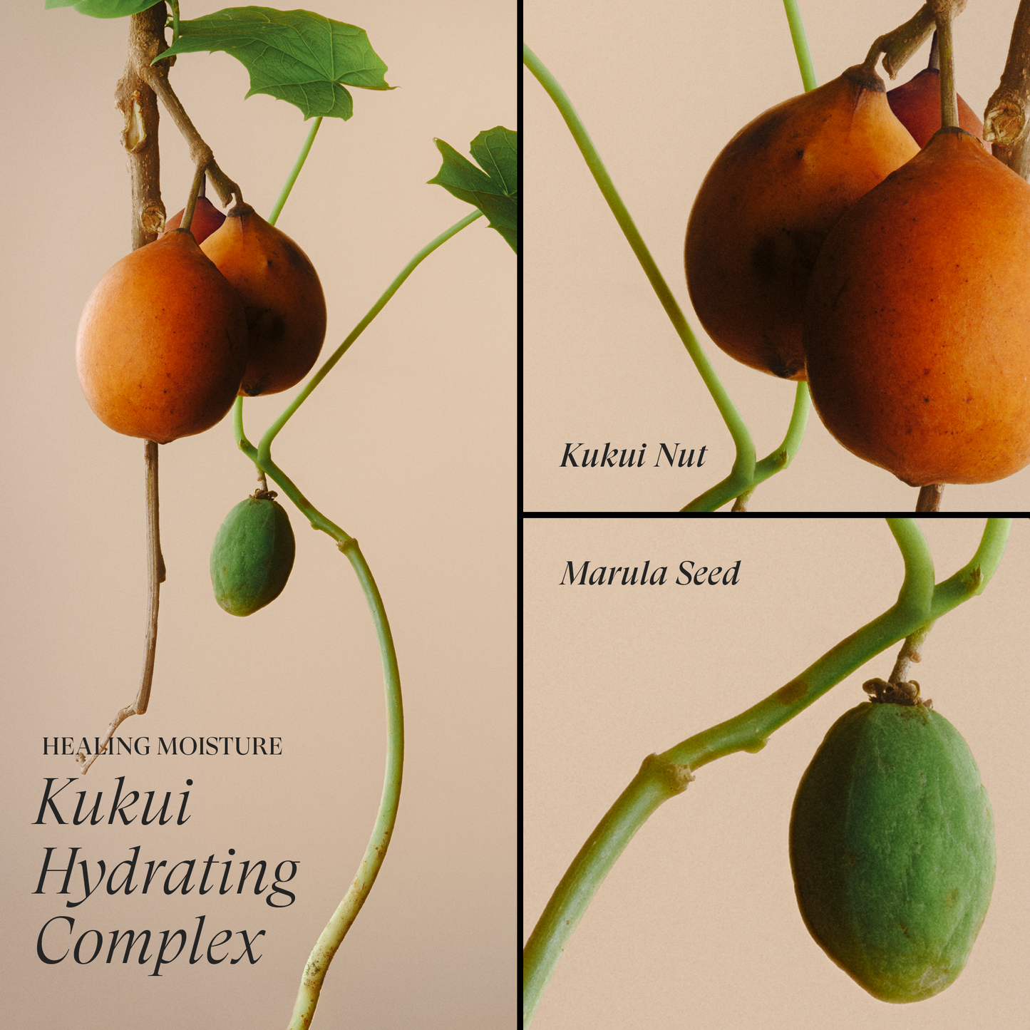 Kukui Nut Conditioner