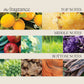 Color Preserving Conditioner