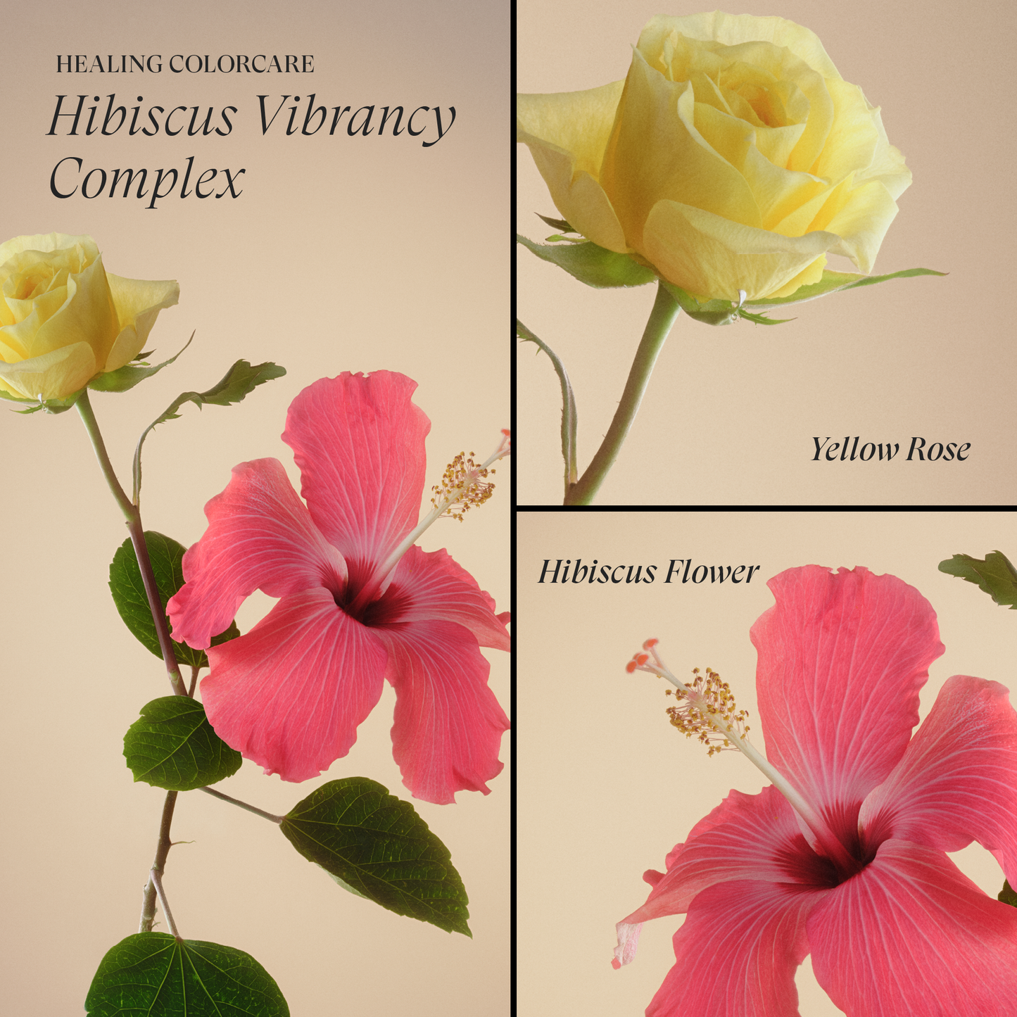 Trauma Treatment Restorative Conditioner