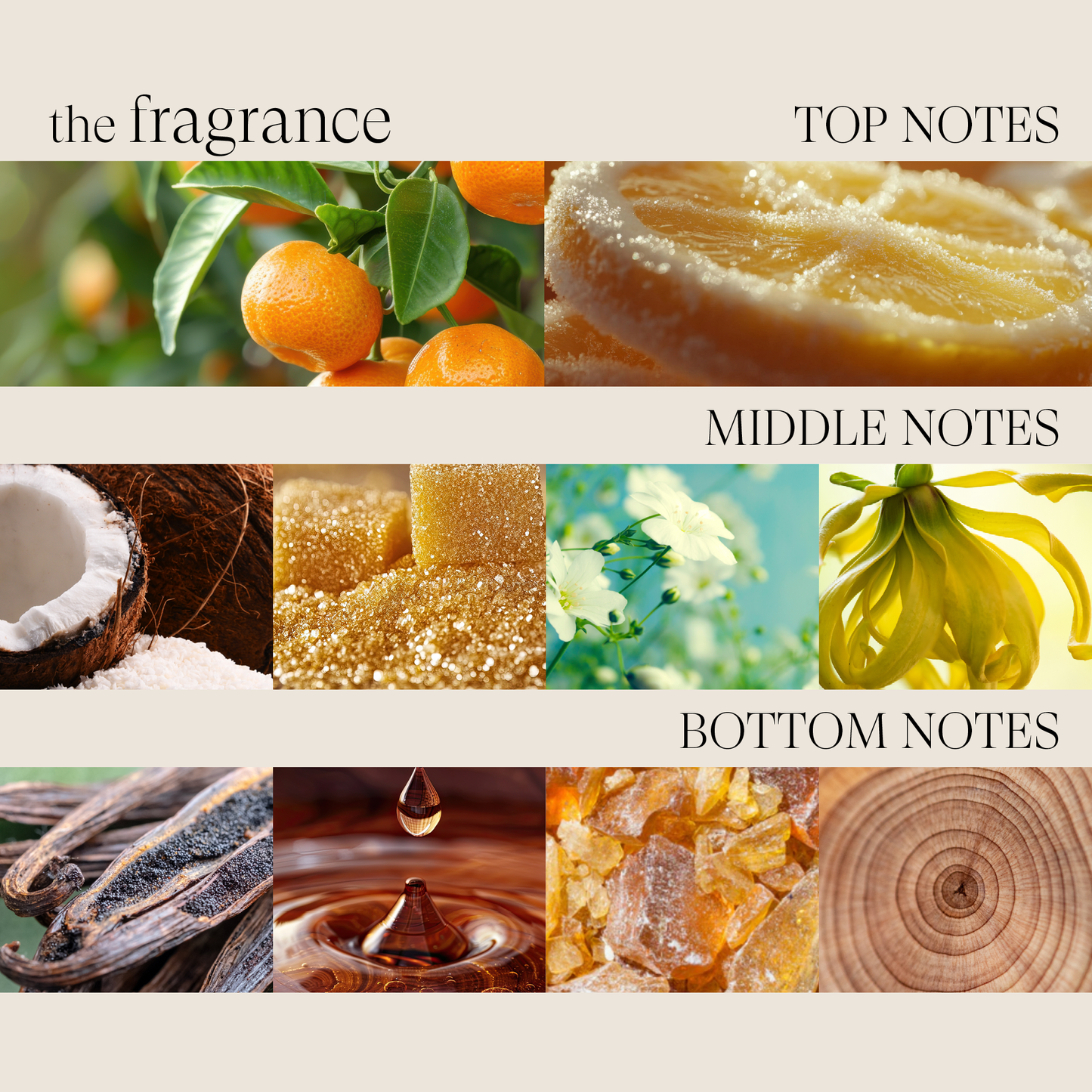 Curl Flex Memory Gel