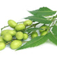 Neem Plant Silk Serum