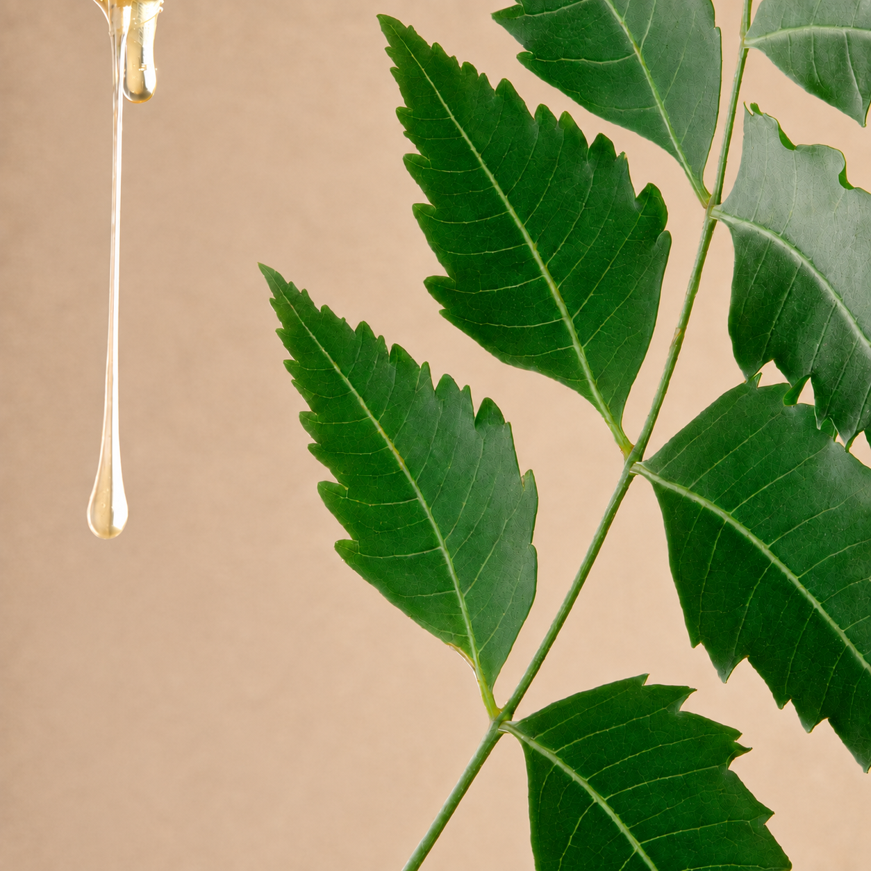 Neem Fortifying Complex